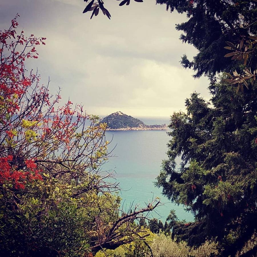 Salvia E Rosmarino - Affittacamere In Liguria Villanova d'Albenga Buitenkant foto
