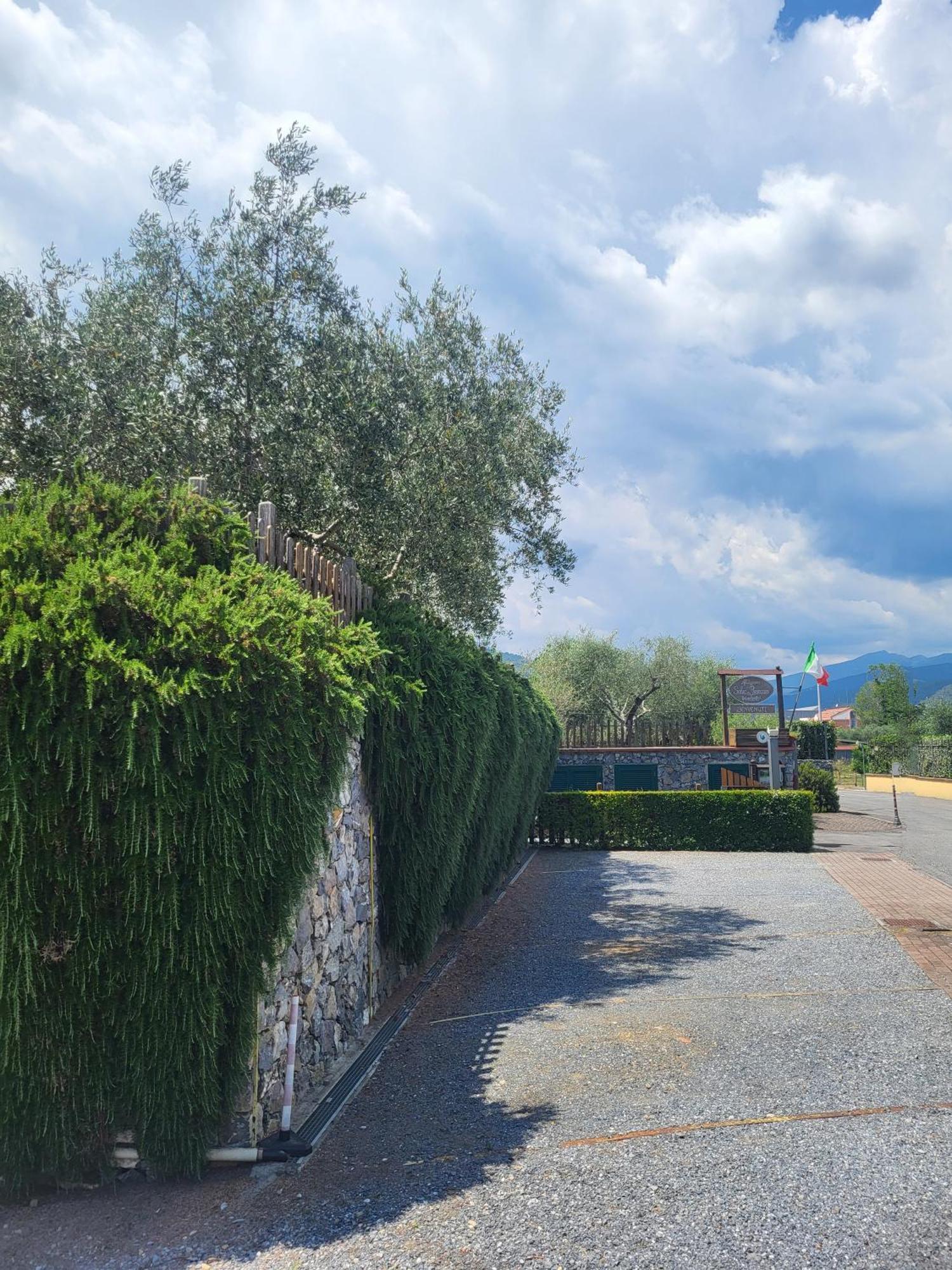 Salvia E Rosmarino - Affittacamere In Liguria Villanova d'Albenga Buitenkant foto