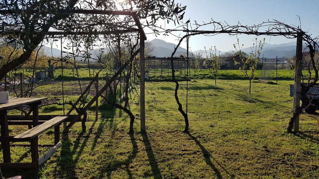 Salvia E Rosmarino - Affittacamere In Liguria Villanova d'Albenga Buitenkant foto